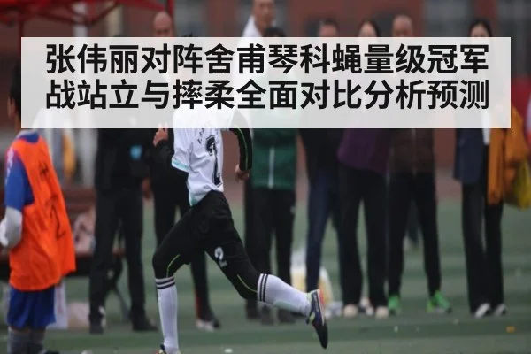 张伟丽对阵舍甫琴科蝇量级冠军战站立与摔柔全面对比分析预测